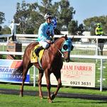 Wagga trainer Chris Heywood wins the Parkes Cup with Class Clown