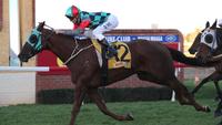 Fermanagh Lad wins the last race on Wagga Gold Cup day for Chris Heywood
