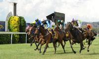 Chris Heywood wins with Corazon De Oro and Scott Spackman with Tokookacod on Snake Gully Cup day