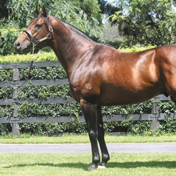 Sebring X Exceed Expectation 2015