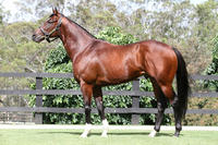 Toronado’s first runner a winner!