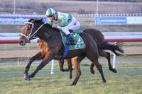 PIERINO WINS AT GOULBURN FRIDAY 15TH JUNE
