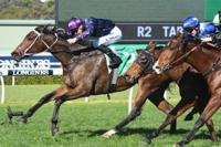 Danny Williams Pair On Road To The Kosciuszko (Saturday)