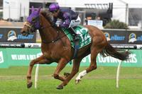 GOULBURN TRAINERS HAVE THEIR HORSES PEAKING FOR THE KOSCISUZKO