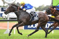 Kiamichi's Golden Slipper Stakes heritage Closely Related to Talimena x Not a Single Doubt