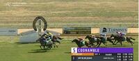 MY BLUE JEANS WINS BARADINE CUP IN COONAMBLE