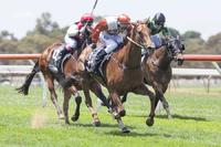 A Nice Maiden Double at Strathalbyn