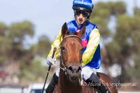 Heaven's Deal Wins on Debut
