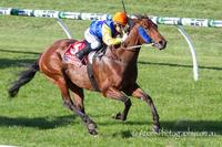 Kenny Lau Wins on Optimize