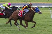 Hard Empire Wins at Morphettville