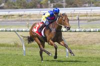 A Quinella At Morphettville Parks
