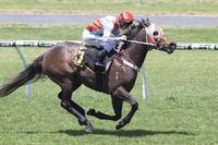 St Georges Vaults Breaks his Maiden on Cup Day