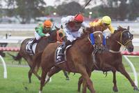 Wonder If breaks his Maiden at Gawler Twilight