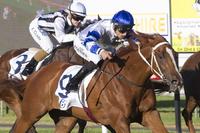 Kemalpasa Wins at Gawler Twilight