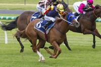 Hard Empire Wins the Group 3 R N Irwin Stakes