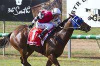 Artie Stoker Breaks His Maiden