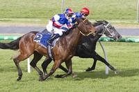 Kenny Lau Wins at Morphettville on Bayou
