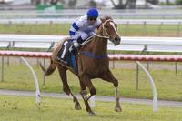 Kemalpasa and Kenny Lau Win at Gawler