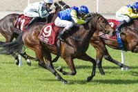 Poysed To Rein Breaks Her Maiden