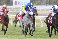 Irish Mint and Rainmoth Make It A Stable Double
