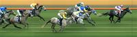 Rainmoth Ventures to Flemington on Oaks Day