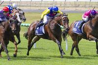 Poysed To Rein Wins First Up