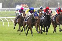 Poysed to Rein Wins in Fine Fashion