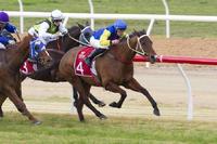 Dexelation Wins By A Whisker