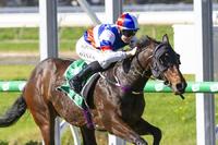 Two From Two At Morphettville