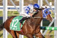 An Elusive Win for Kayseri