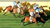 Dexelation Wins at Moonee Valley