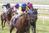 A Double in the Wet at Gawler