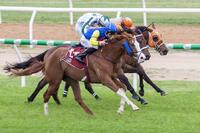Graciebird Breaks Her Maiden