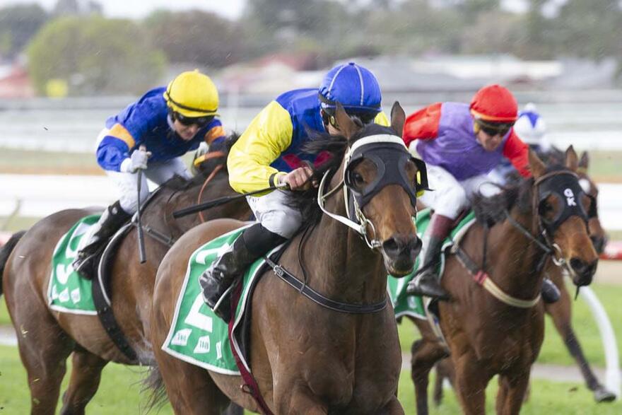 Flying Pierro 051020.jpg