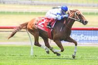 Kemalpasa Wins the Group 3 Kevin Heffernan Stakes