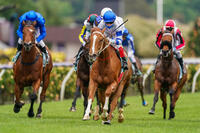Kemalpasa Wins The Group 2 Linlithgow Stakes Again