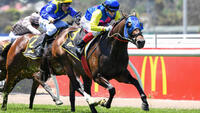 Alleboom Wins At Flemington On Melbourne Cup Day