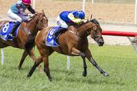 Wild Imagination Breaks Her Maiden