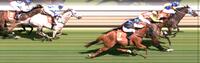 Skillful Steps Wins The Penola Cup