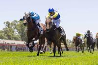 Montepulciano Survives Protest to Break Maiden