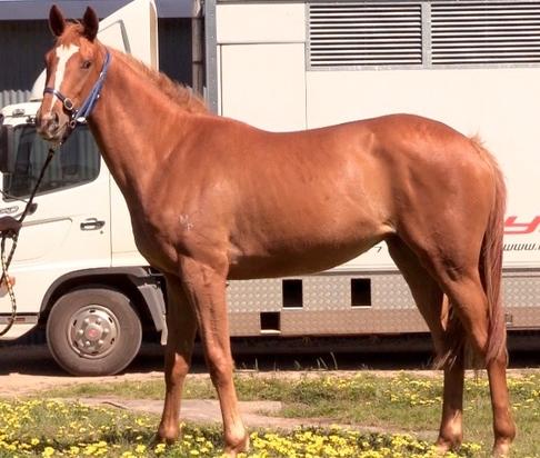 Screen Shot 2016-11-05 at 9.14.11 AM.jpg