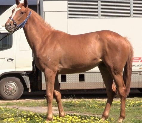 Screen Shot 2016-11-05 at 9.16.24 AM.jpg