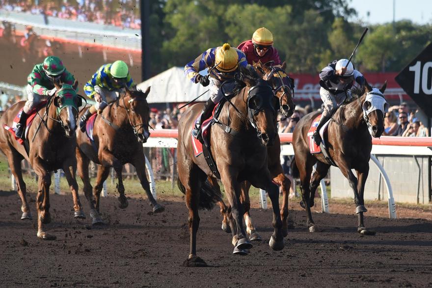 ROYAL REQUEST SALUTES IN 2017 DARWIN CUP