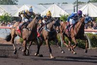 POT BLACK MAKES IT 2 IN A ROW IN DARWIN