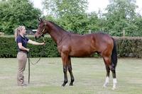 OCEAN CLASS SHARES AVAILABLE