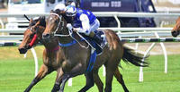 I Am Venus victory a boost for Healey