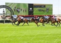 Stable to supply four runners to the Eagle Farm meeting Saturday