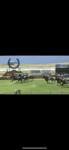 Serlina just misses at Ballina