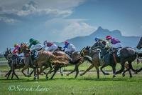Tweed River Jockey Club Next Meeting Will Be On Tuesday The 07th, February 2017