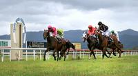 Final Fields For TRJC Murwillumbah Meeting On Sunday